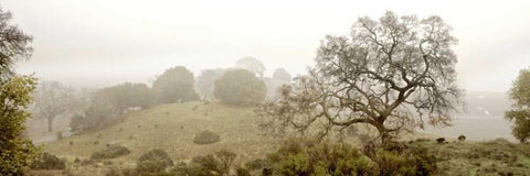 Pano Version 4 Black Ornate Wood Framed Art Print with Double Matting by Blaustein, Alan