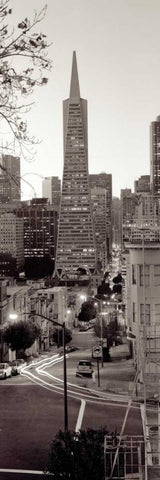 Transamerica Pano - 1 White Modern Wood Framed Art Print with Double Matting by Blaustein, Alan