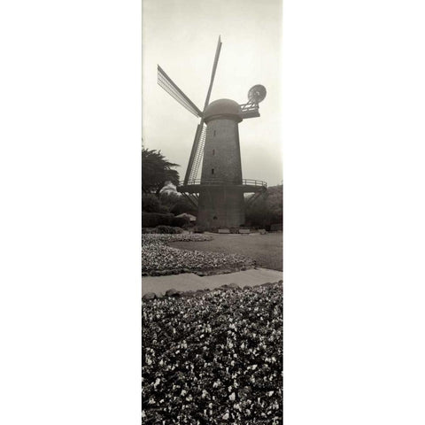 Goden Gate Park Pano - 3 White Modern Wood Framed Art Print by Blaustein, Alan