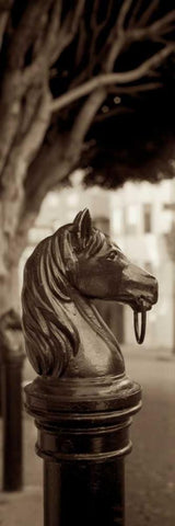 Hitching Post Pano - 2 Black Ornate Wood Framed Art Print with Double Matting by Blaustein, Alan