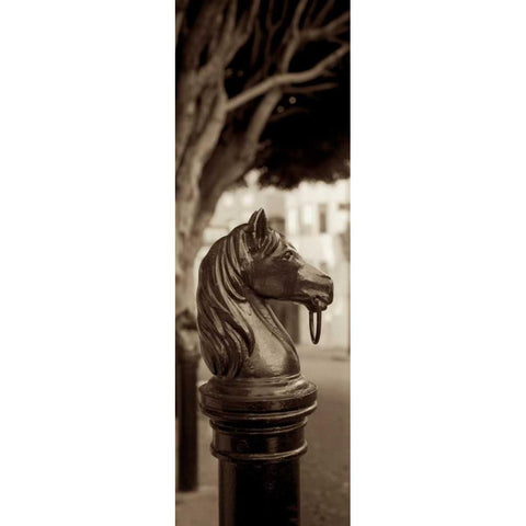 Hitching Post Pano - 2 Black Modern Wood Framed Art Print by Blaustein, Alan