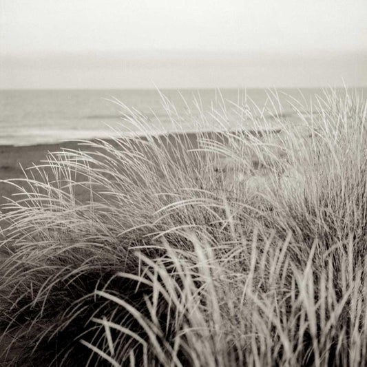 Image Only
