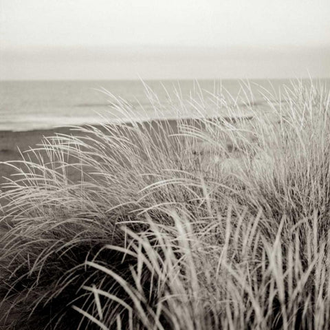 Tuscan Coast Dunes - 2 Gold Ornate Wood Framed Art Print with Double Matting by Blaustein, Alan