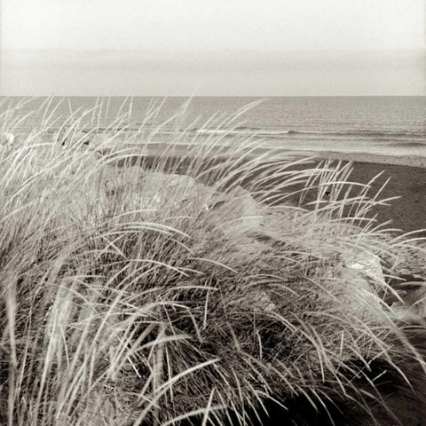 Tuscan Coast Dunes - 3 Black Ornate Wood Framed Art Print with Double Matting by Blaustein, Alan