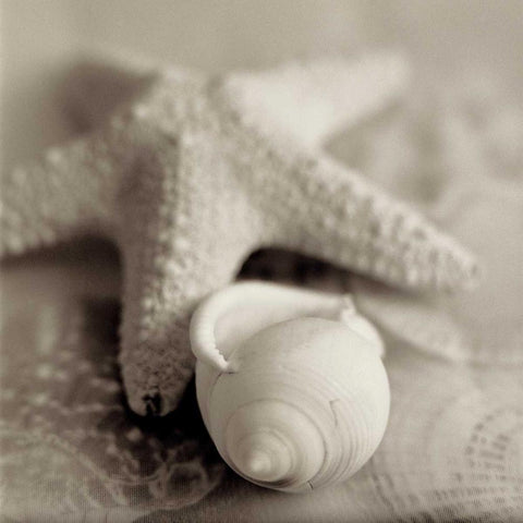 Crystal Harbor - 17 Black Modern Wood Framed Art Print with Double Matting by Blaustein, Alan