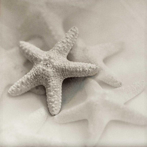 Crystal Harbor - 18 Black Modern Wood Framed Art Print by Blaustein, Alan