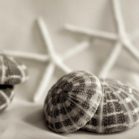 Crystal Harbor - 20 Black Modern Wood Framed Art Print by Blaustein, Alan