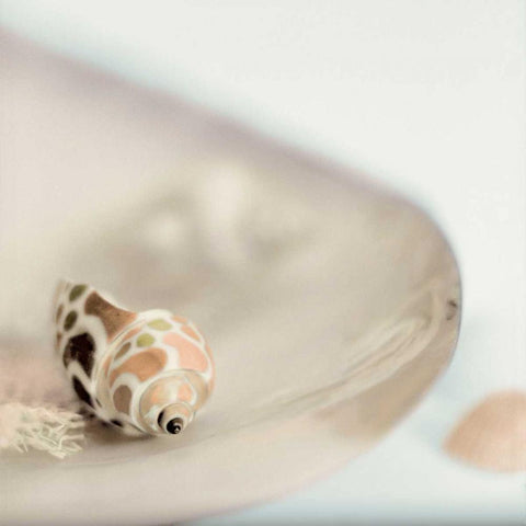 Lagoon Tidepool - 2 White Modern Wood Framed Art Print by Blaustein, Alan