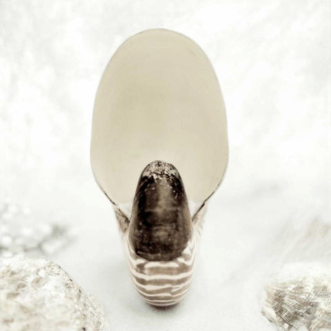 Crystal Harbor - 16 Black Modern Wood Framed Art Print with Double Matting by Blaustein, Alan