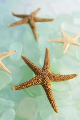 Crystal Cove - 30 White Modern Wood Framed Art Print with Double Matting by Blaustein, Alan