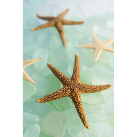 Crystal Cove - 30 Black Modern Wood Framed Art Print by Blaustein, Alan