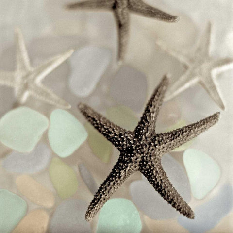 Crystal Harbor - 13 Black Ornate Wood Framed Art Print with Double Matting by Blaustein, Alan