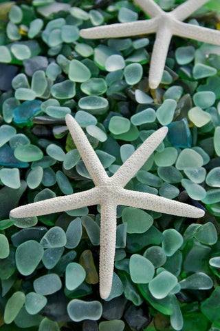 Crystal Harbor - 21 White Modern Wood Framed Art Print with Double Matting by Blaustein, Alan