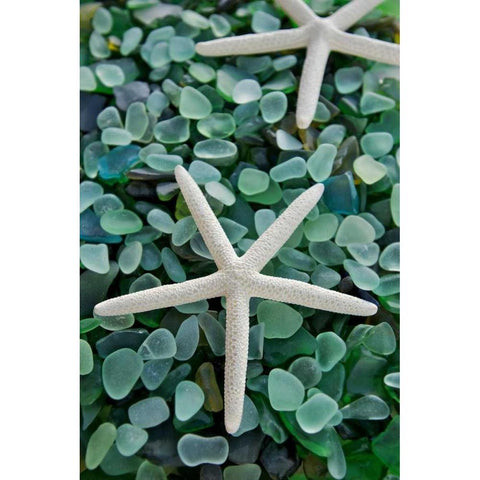 Crystal Harbor - 21 Black Modern Wood Framed Art Print by Blaustein, Alan