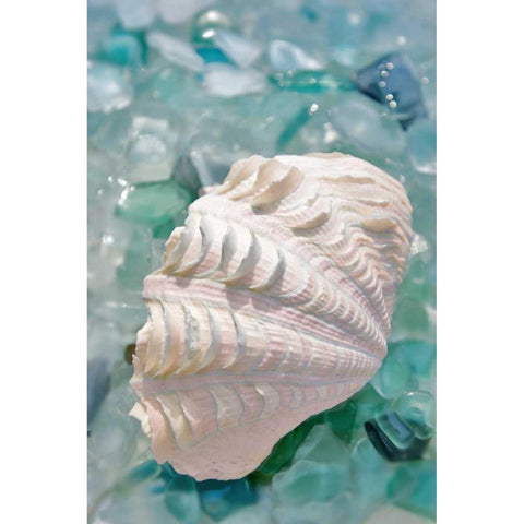 Crystal Harbor - 31 Black Modern Wood Framed Art Print with Double Matting by Blaustein, Alan