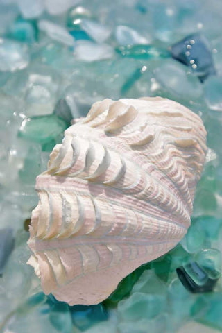 Crystal Harbor - 31 White Modern Wood Framed Art Print with Double Matting by Blaustein, Alan