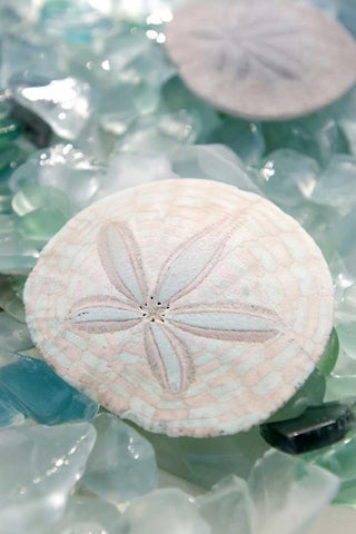 Crystal Cove - 29 White Modern Wood Framed Art Print with Double Matting by Blaustein, Alan