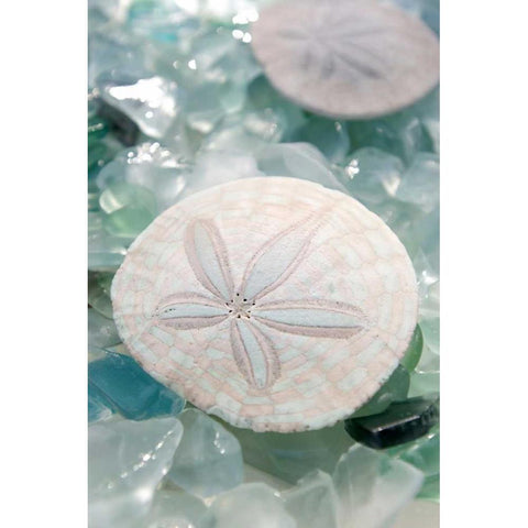 Crystal Cove - 29 Black Modern Wood Framed Art Print by Blaustein, Alan