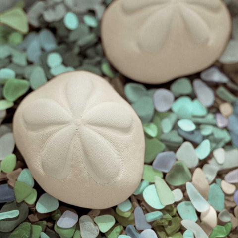 Crystal Harbor - 12 Black Ornate Wood Framed Art Print with Double Matting by Blaustein, Alan