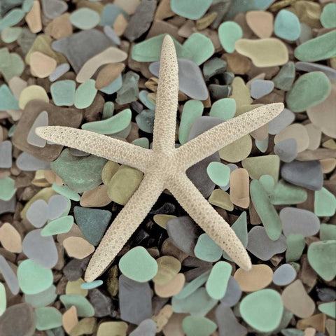 Crystal Harbor - 10 Black Ornate Wood Framed Art Print with Double Matting by Blaustein, Alan