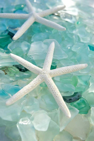 Crystal Harbor - 7 White Modern Wood Framed Art Print with Double Matting by Blaustein, Alan