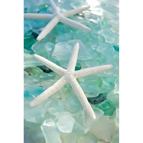 Crystal Harbor - 7 White Modern Wood Framed Art Print by Blaustein, Alan