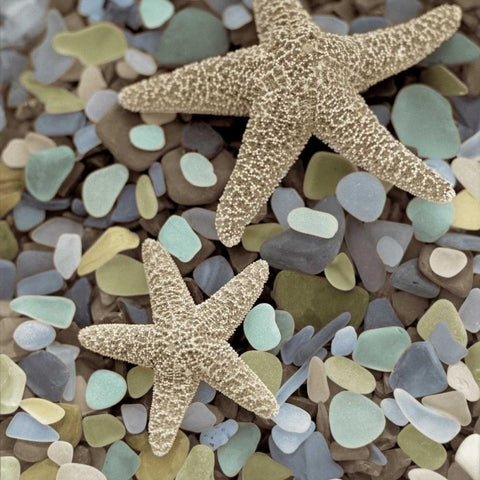 Crystal Harbor - 11 White Modern Wood Framed Art Print with Double Matting by Blaustein, Alan