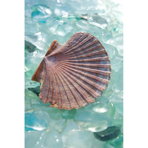 Crystal Harbor - 8 White Modern Wood Framed Art Print by Blaustein, Alan