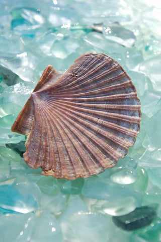 Crystal Harbor - 8 White Modern Wood Framed Art Print with Double Matting by Blaustein, Alan