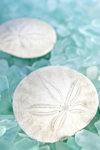 Crystal Harbor - 9 Black Ornate Wood Framed Art Print with Double Matting by Blaustein, Alan