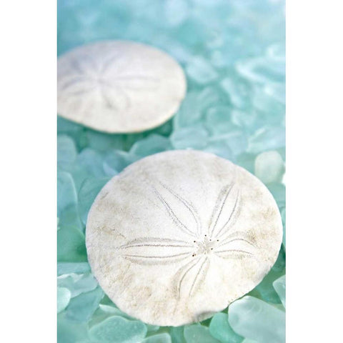 Crystal Harbor - 9 Gold Ornate Wood Framed Art Print with Double Matting by Blaustein, Alan