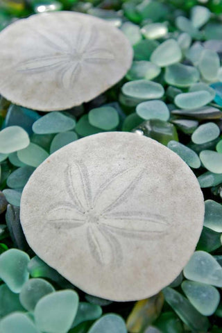 Crystal Harbor - 22 Black Ornate Wood Framed Art Print with Double Matting by Blaustein, Alan