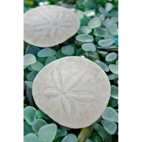 Crystal Harbor - 22 Black Modern Wood Framed Art Print by Blaustein, Alan