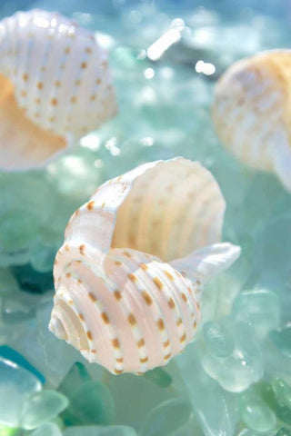 Crystal Harbor - 6 White Modern Wood Framed Art Print with Double Matting by Blaustein, Alan