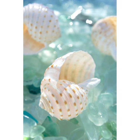 Crystal Harbor - 6 Black Modern Wood Framed Art Print by Blaustein, Alan