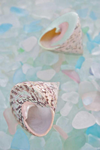 Crystal Harbor - 5 White Modern Wood Framed Art Print with Double Matting by Blaustein, Alan