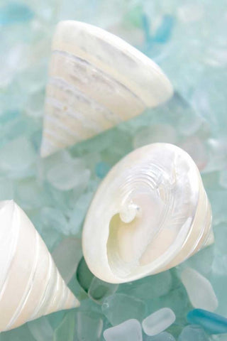 Crystal Harbor - 4 Black Ornate Wood Framed Art Print with Double Matting by Blaustein, Alan