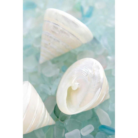 Crystal Harbor - 4 Black Modern Wood Framed Art Print with Double Matting by Blaustein, Alan