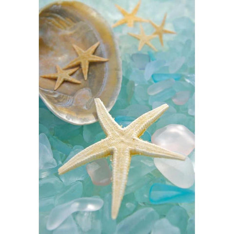 Crystal Harbor - 2 Black Modern Wood Framed Art Print with Double Matting by Blaustein, Alan