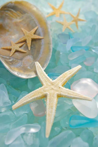 Crystal Harbor - 2 White Modern Wood Framed Art Print with Double Matting by Blaustein, Alan