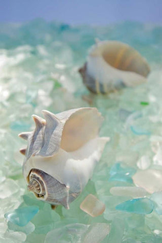 Crystal Harbor - 1 Black Ornate Wood Framed Art Print with Double Matting by Blaustein, Alan