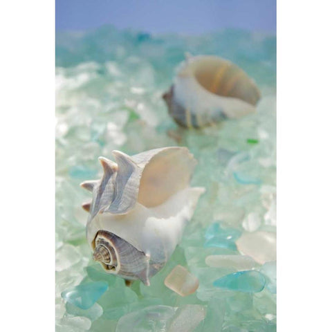 Crystal Harbor - 1 White Modern Wood Framed Art Print by Blaustein, Alan