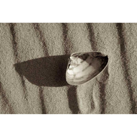 Crystal Harbor - 36 White Modern Wood Framed Art Print by Blaustein, Alan