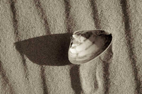 Crystal Harbor - 36 Black Ornate Wood Framed Art Print with Double Matting by Blaustein, Alan