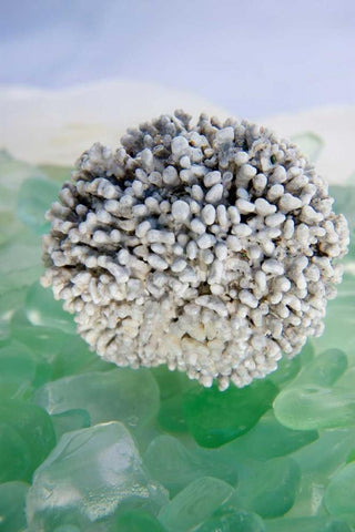 Crystal Harbor - 34 Black Ornate Wood Framed Art Print with Double Matting by Blaustein, Alan