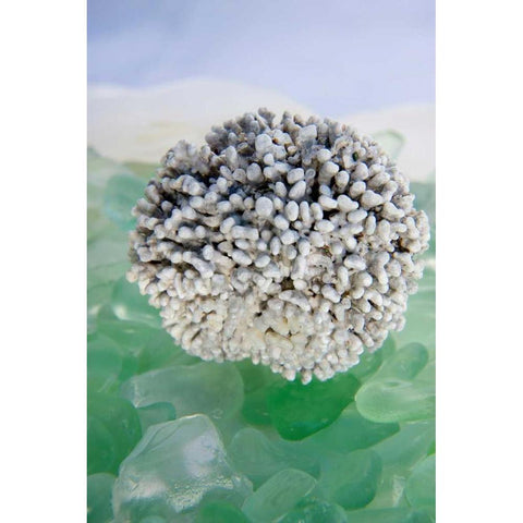 Crystal Harbor - 34 Gold Ornate Wood Framed Art Print with Double Matting by Blaustein, Alan