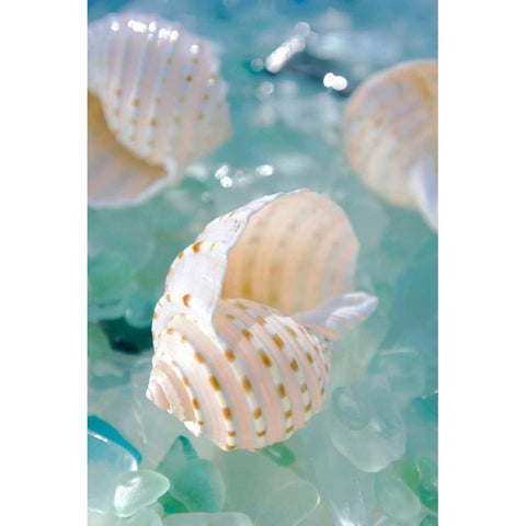 Crystal Cove - 24 White Modern Wood Framed Art Print by Blaustein, Alan