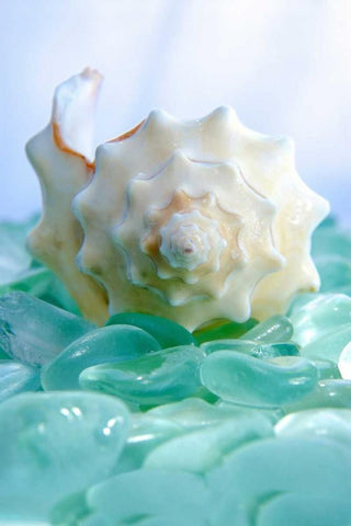 Crystal Harbor - 24 White Modern Wood Framed Art Print with Double Matting by Blaustein, Alan