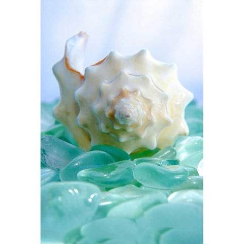 Crystal Harbor - 24 Black Modern Wood Framed Art Print by Blaustein, Alan