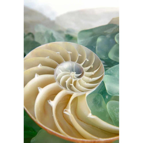 Crystal Cove - 27 White Modern Wood Framed Art Print by Blaustein, Alan